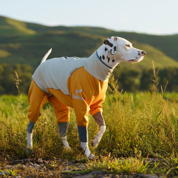 All-round warming dog jacket