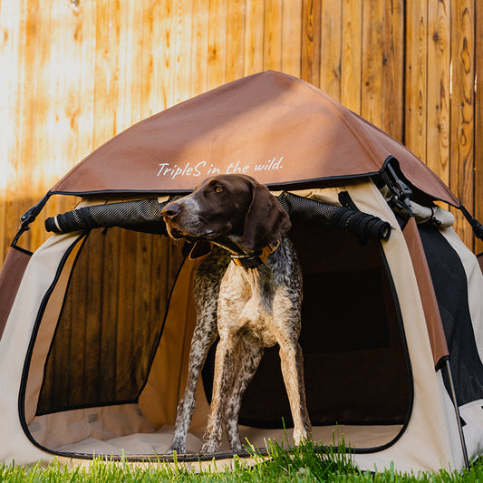 AUTOMATIC TENT