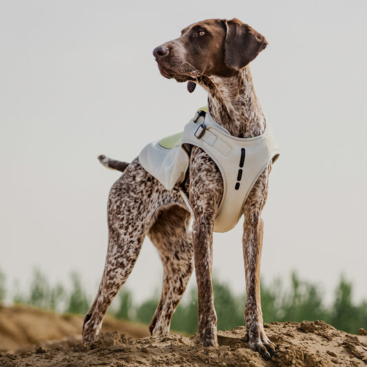 JAVIK COOLING VEST