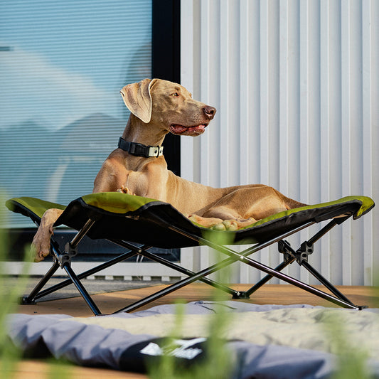 FOLEABLE OUTDOOR DOG BED