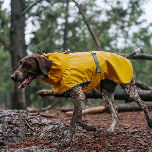 BLACKDOGGY PUFFER PU DOG RAIN JACKET