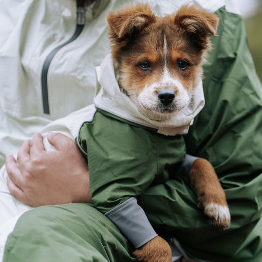 BLACKDOGGY STORM -GUARD RAIN COAT