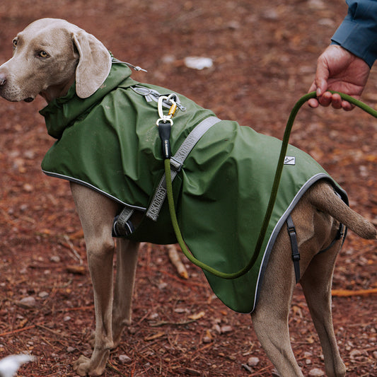 TREK GUARDIAN CARCBINER ROPE LEASH