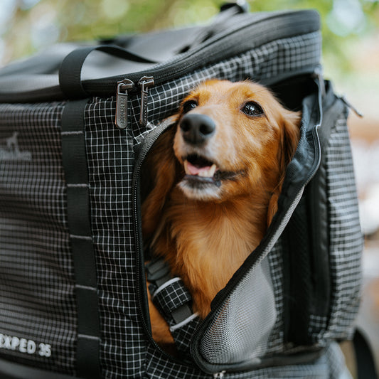 ARRIO OUTDOOR PET BACKPACK