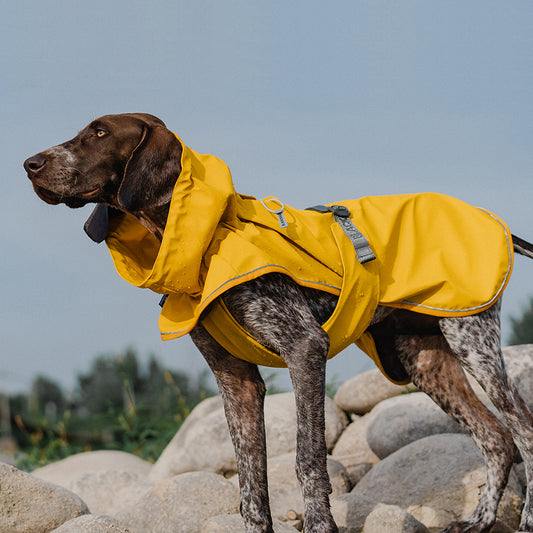 PUFFER PU DOG RAIN JACKET 2