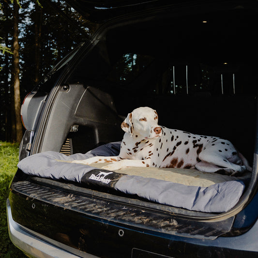 CHILLY ROLL-UP OUTDOOR DOG CAMPING BED