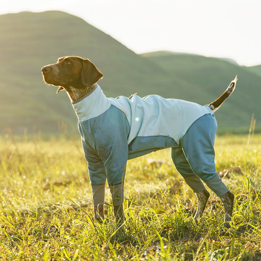 All-round warming dog jacket