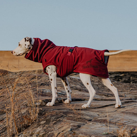 SWIRL DOG BATHROBE