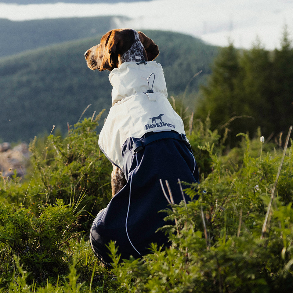 DOG JACKETS